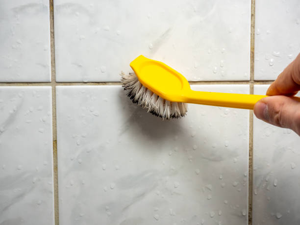 Best Mold Testing and Inspection Services in Wellsburg, WV