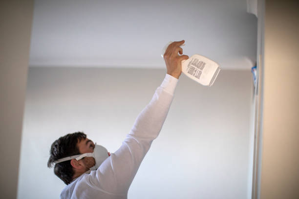 Best White Mold Remediation in Wellsburg, WV
