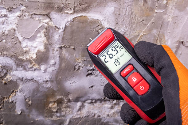 Best Preventive Mold Services in Wellsburg, WV