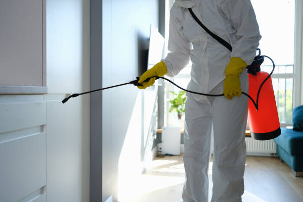 Trusted Wellsburg, WV Mold Remediation Experts